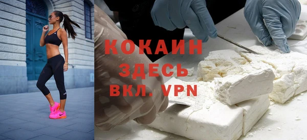 винт Абаза