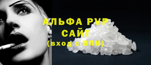 винт Абаза