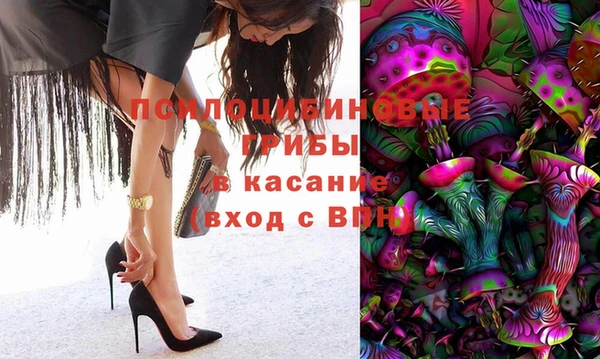 прущий лед Алексин