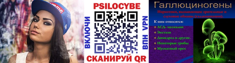 цена   mega ONION  Псилоцибиновые грибы Psilocybe  Сорск 